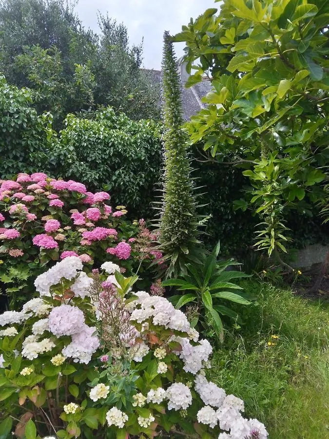 Maison Avec Jardin Proche Mer Penmarcʼh